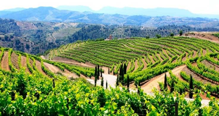 Wijnreis Priorat