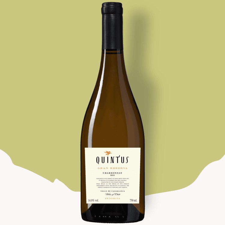Fles Quintus Gran Reserva Chardonnay 2025