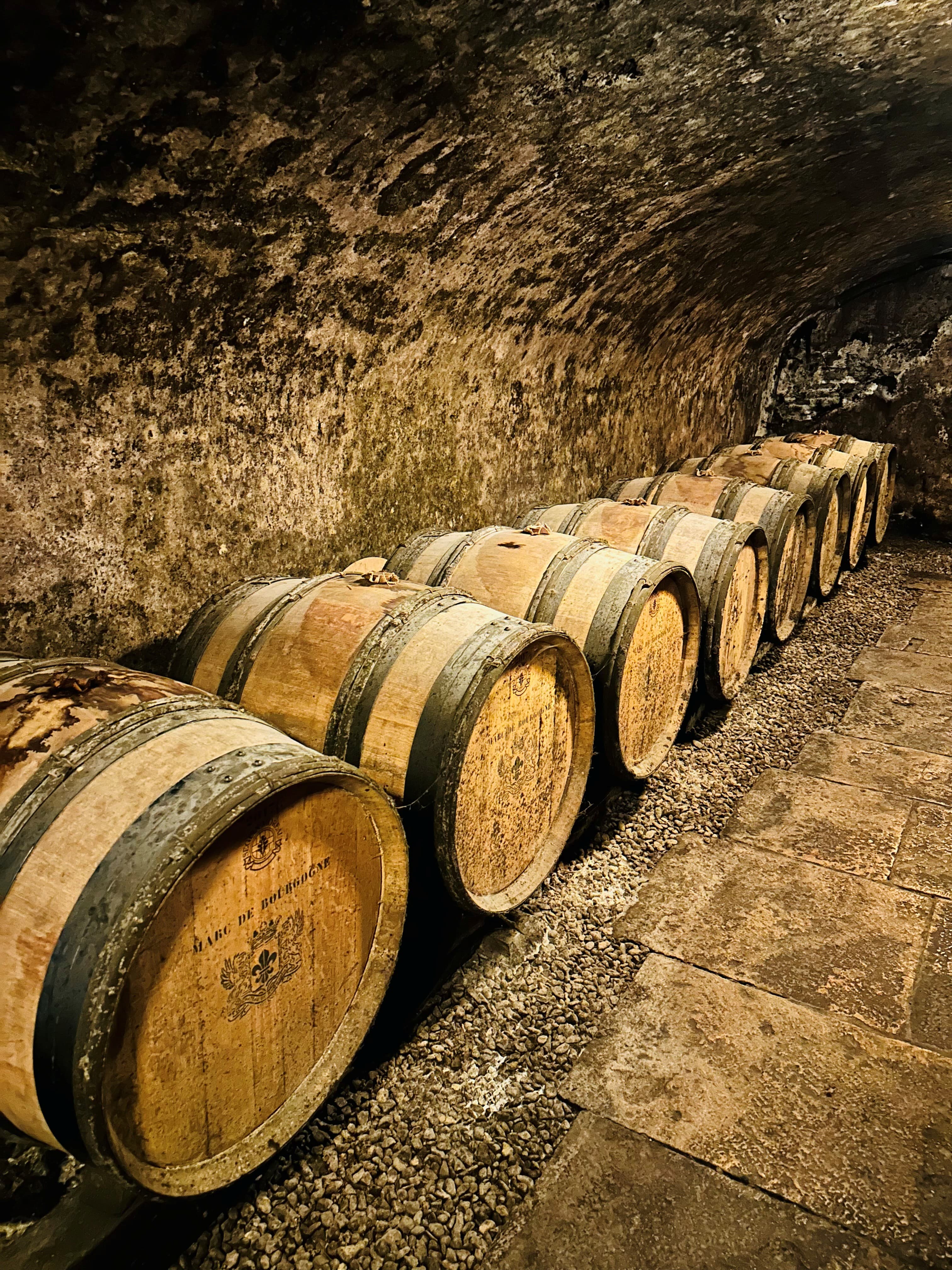 Wijnproeverij bij Château de Meursault: Bourgondische klasse tussen de wijngaarden