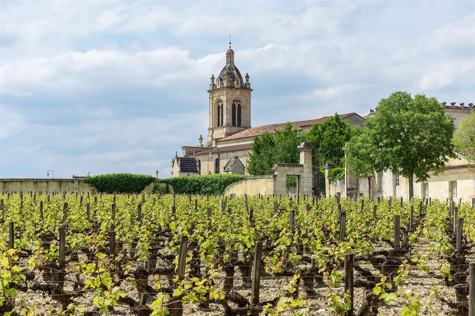 De mooiste wijnroutes door de Médoc