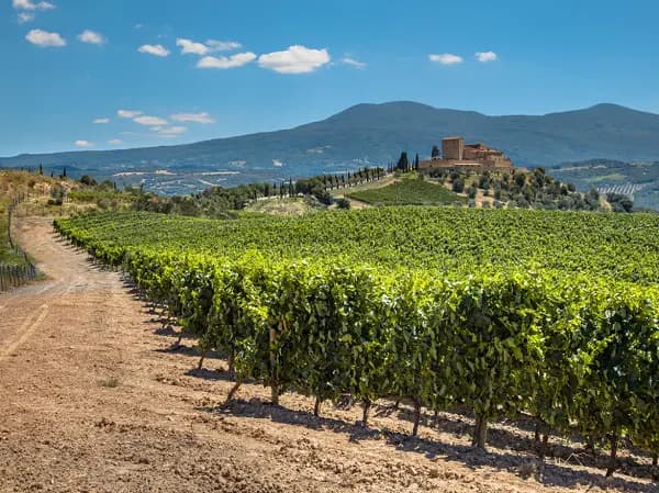 Een weekend tussen de wijngaarden van Chianti