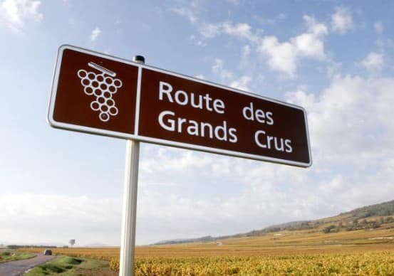 Bourgogne uitgelegd: het verschil tussen Premier Cru en Grand Cru