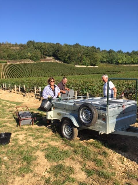 Domaine de Cardon foto 5