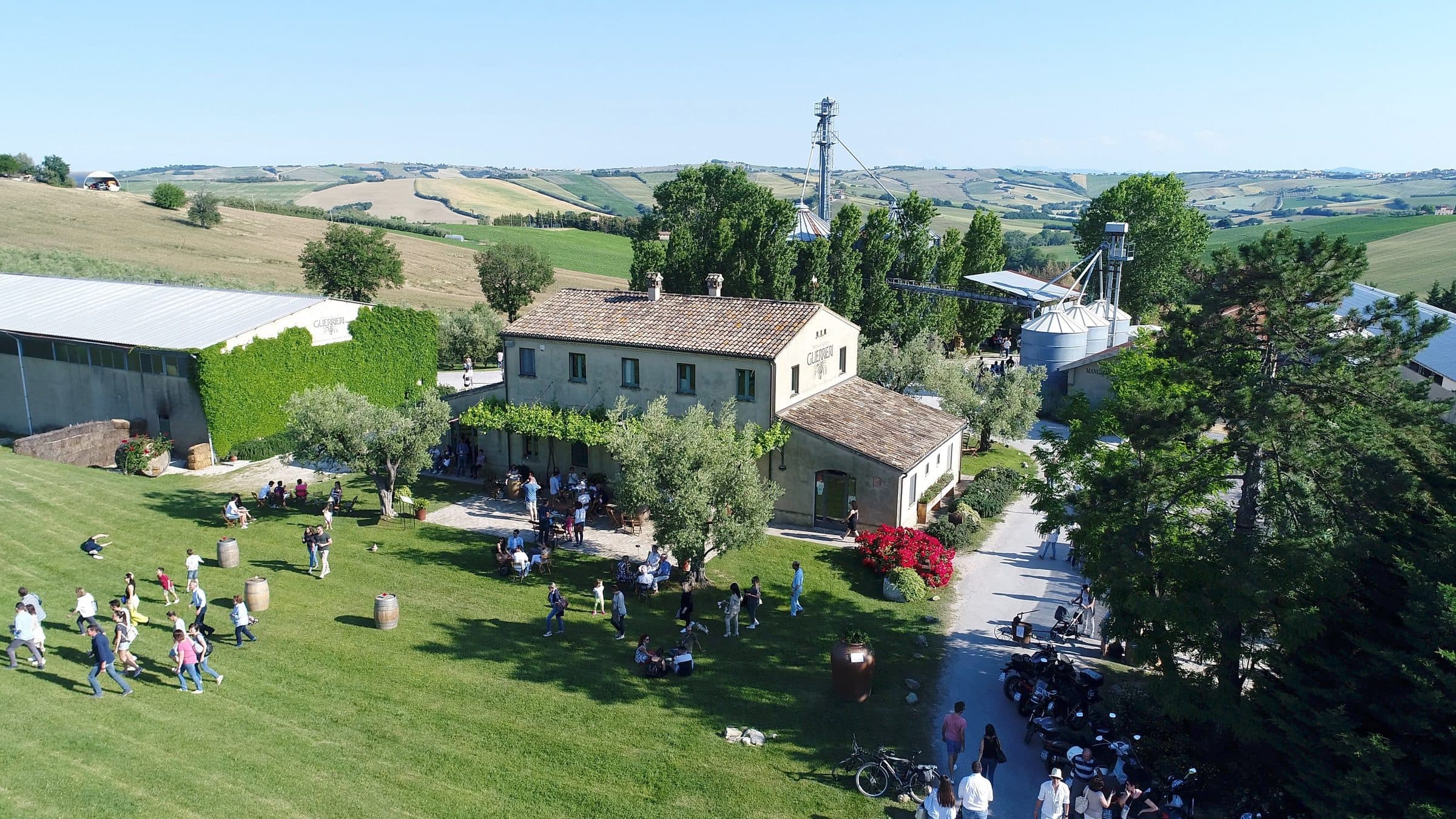 Azienda Agraria Guerrieri sfeerfoto 6