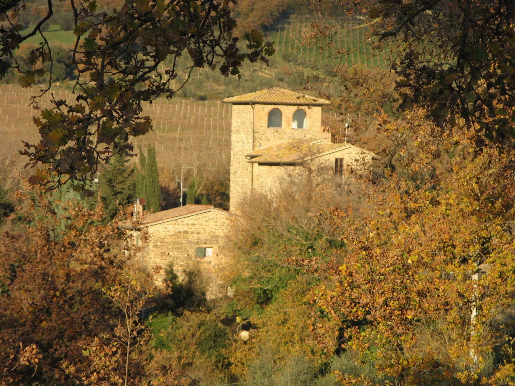 Lisini foto 4