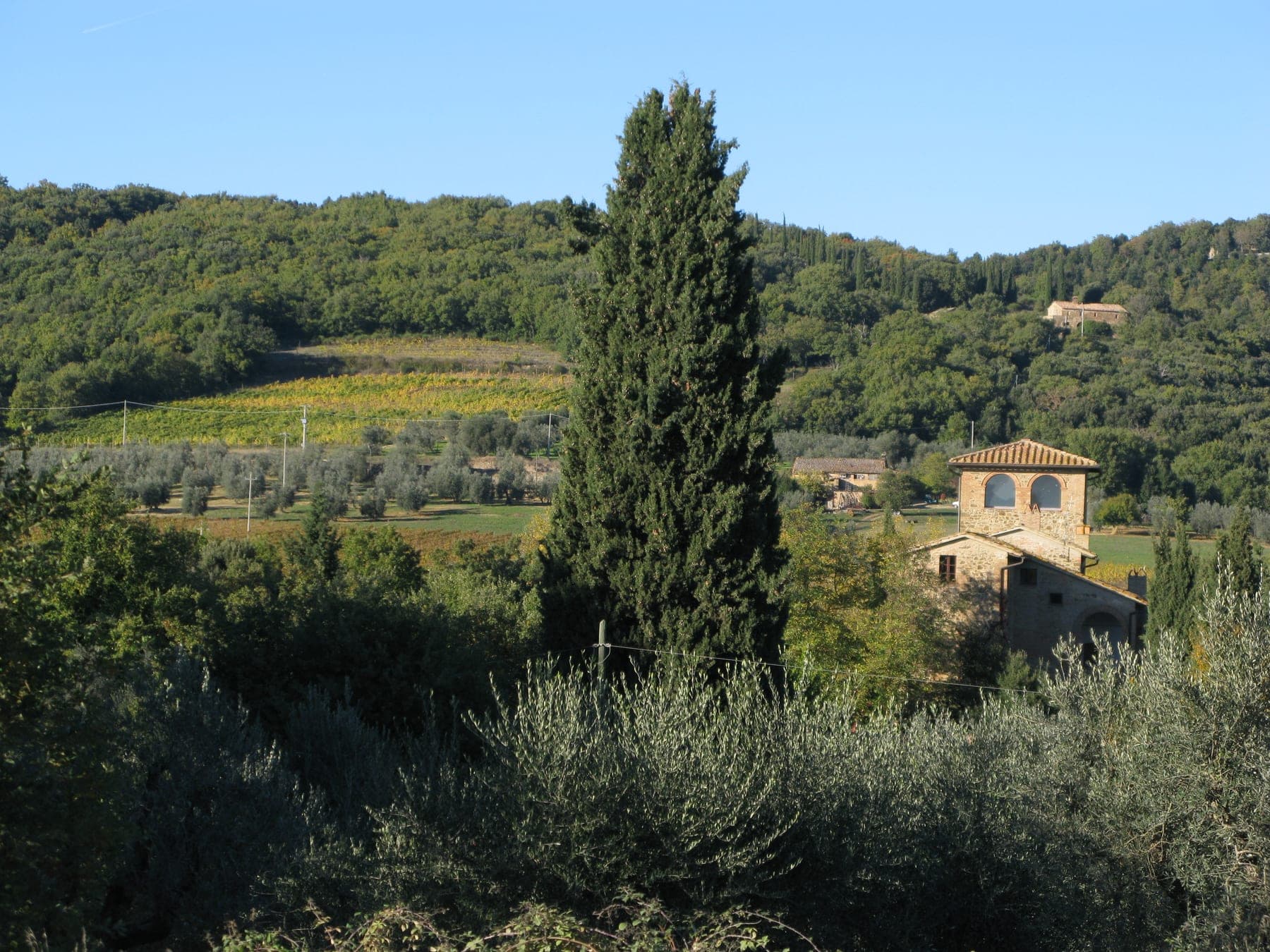 Lisini foto 12