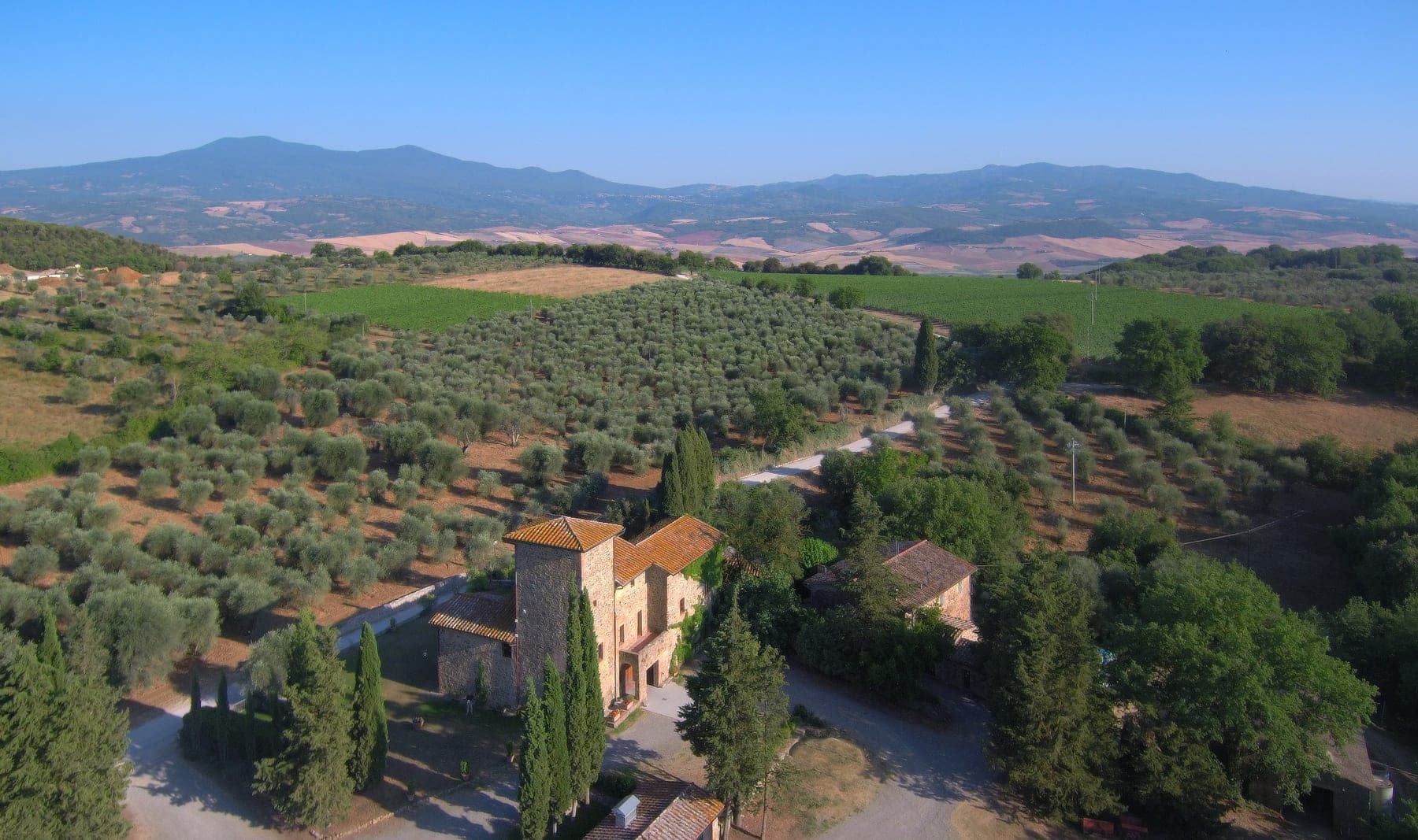 Lisini