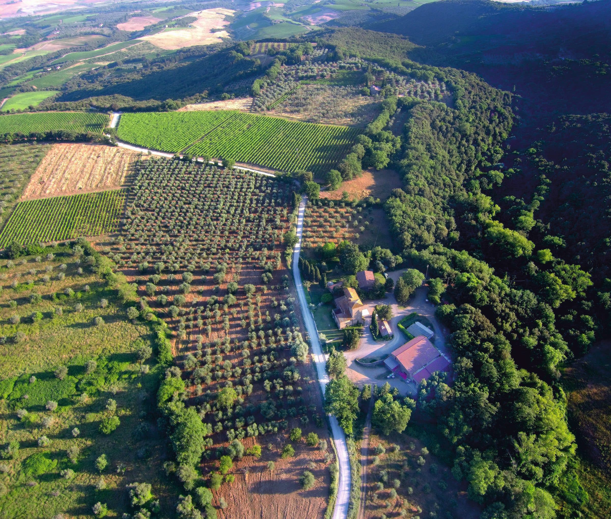 Lisini foto 18