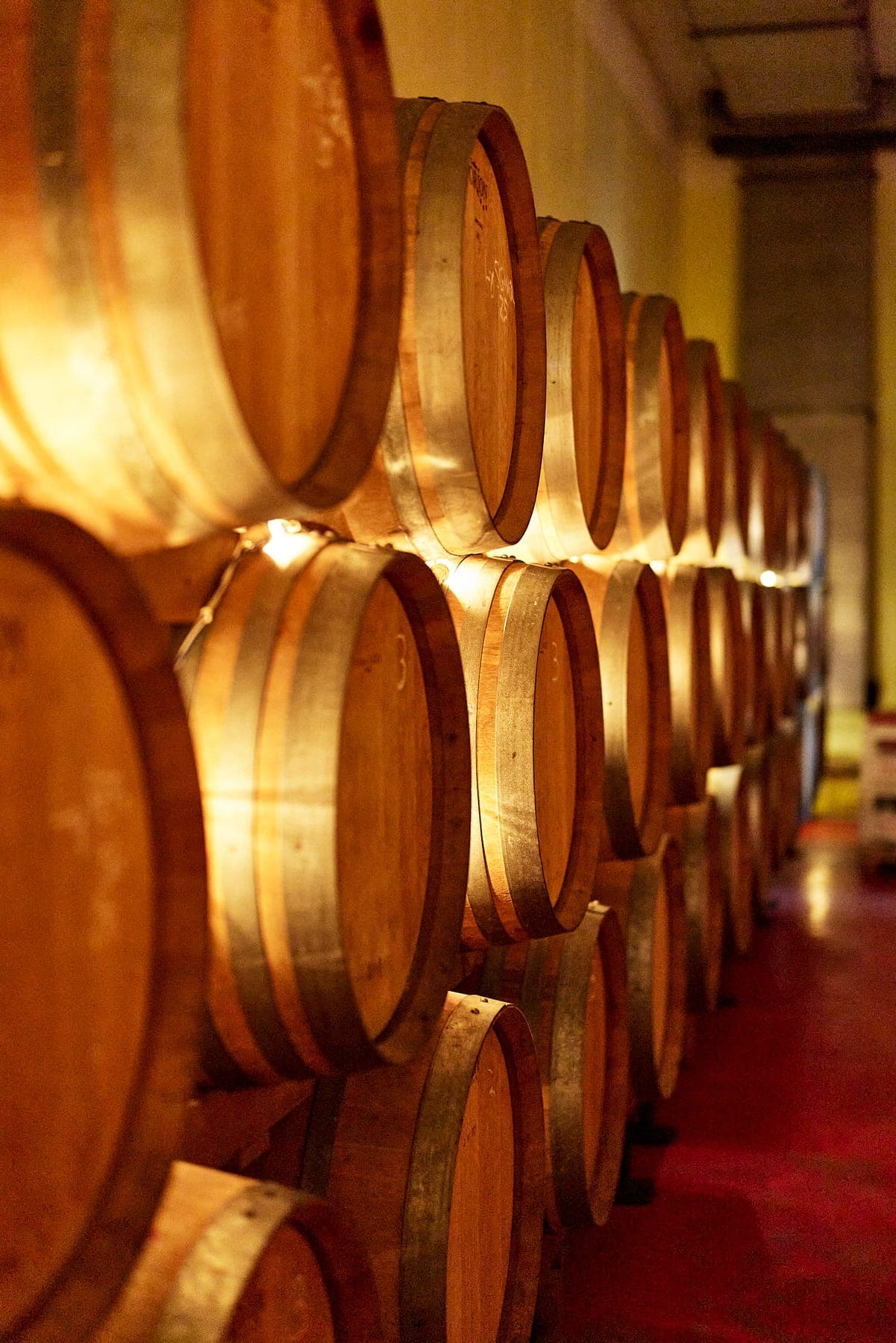 Cantina Terracruda foto 10