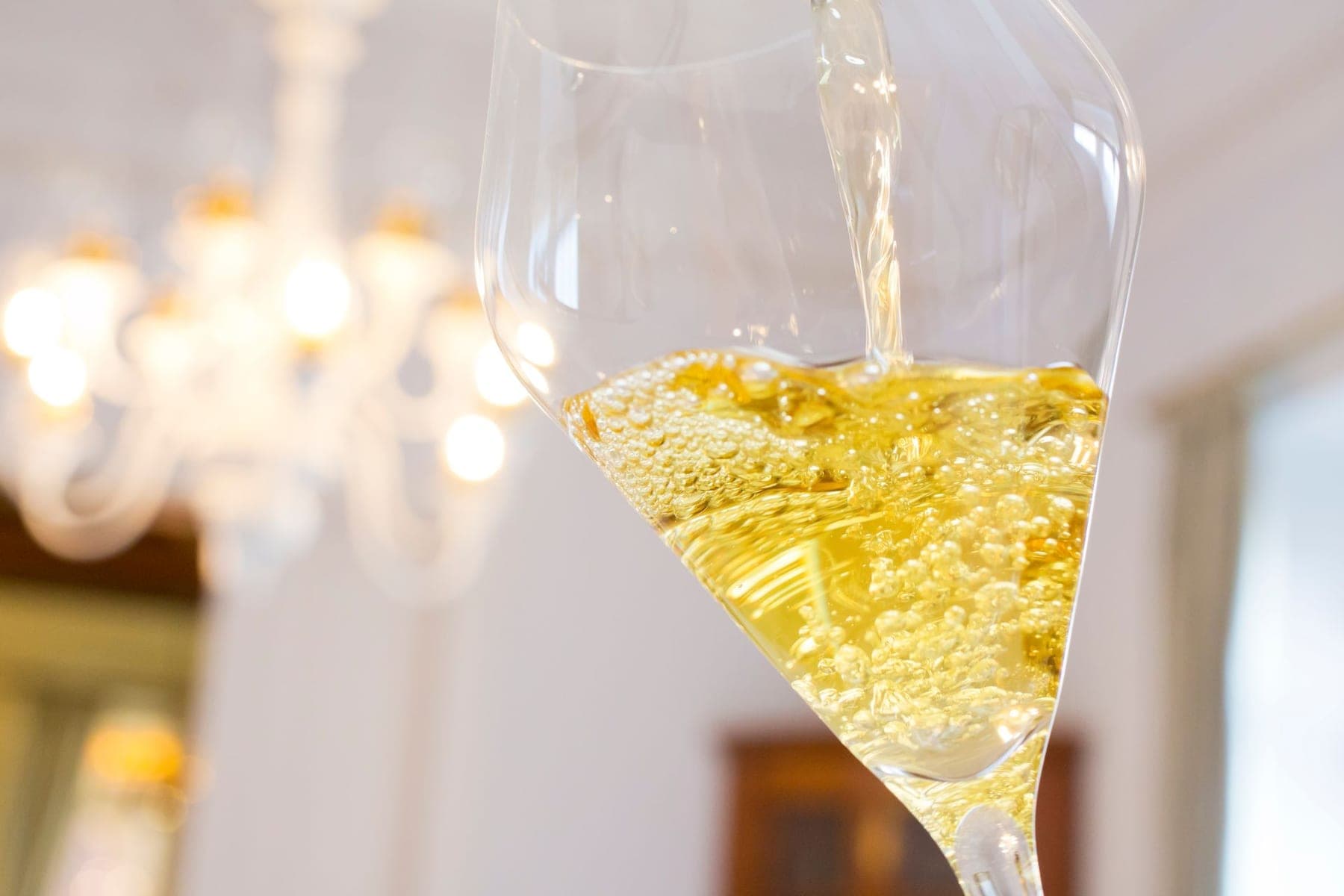 Weingut Müller-Catoir foto 7