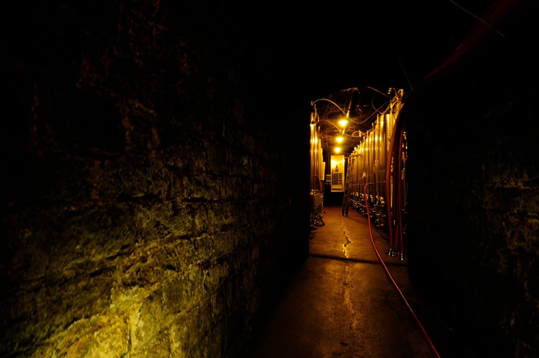 Weingut Müller-Catoir foto 6