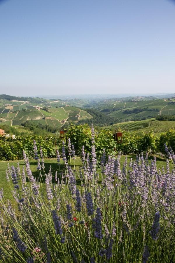 Agriturismo La Torricella sfeerfoto 7