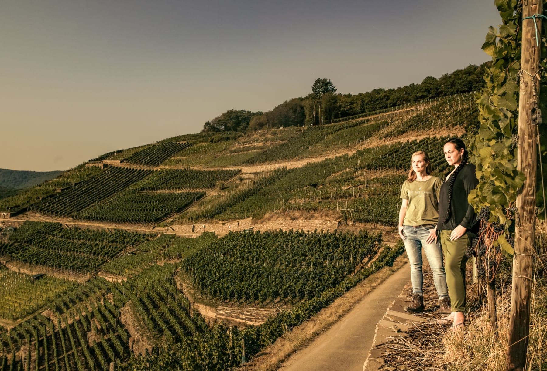 Wijnhuis Weingut Meyer-Näkel