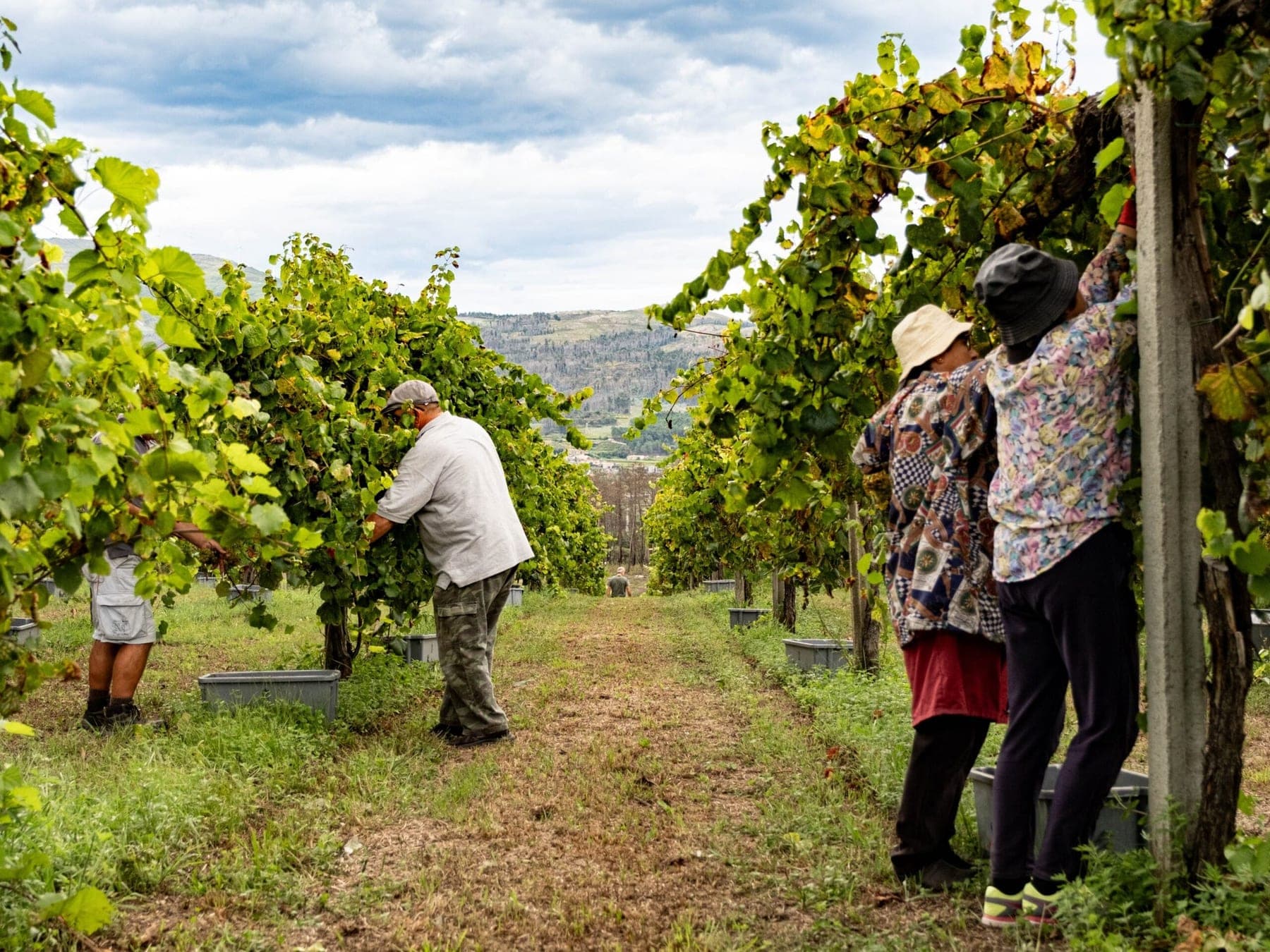 Wijnhuis Quinta de Soalheiro