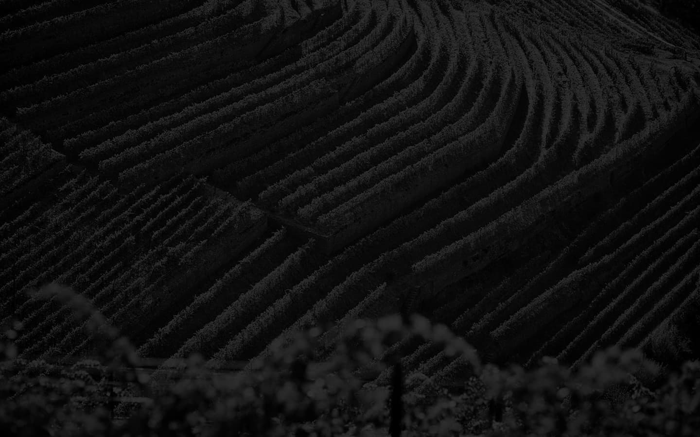 Wijnhuis Quinta do Noval
