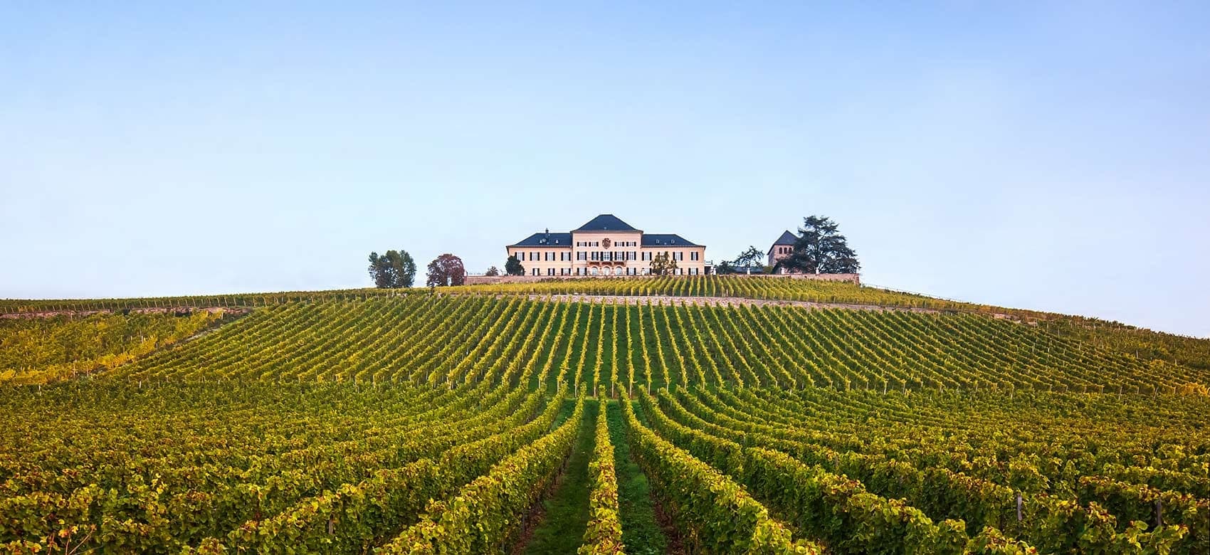 Wijnhuis Schloss Johannisberg