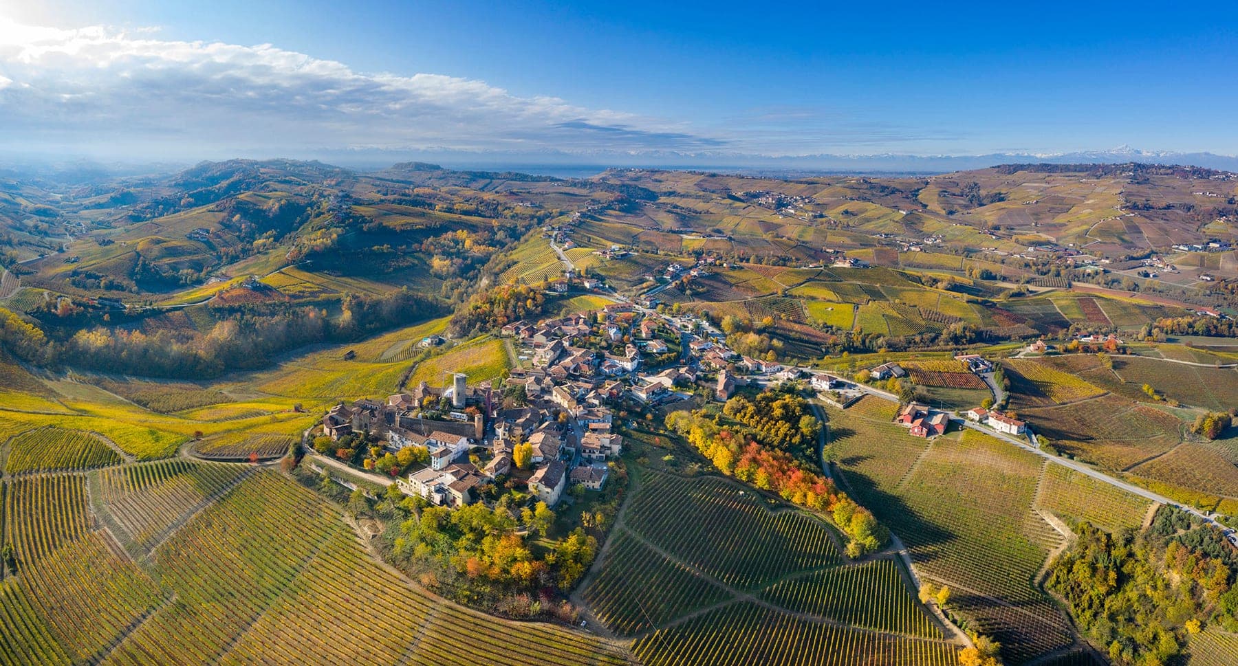 Wijnhuis Vietti