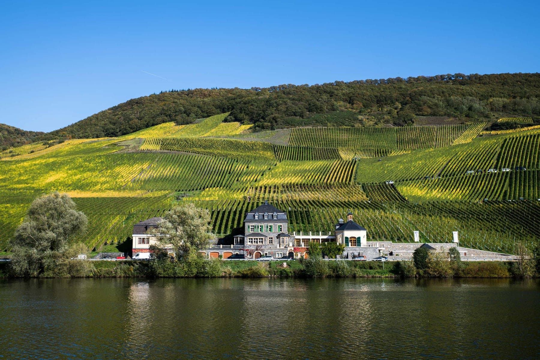 Wijnhuis Weingut Dr. Loosen