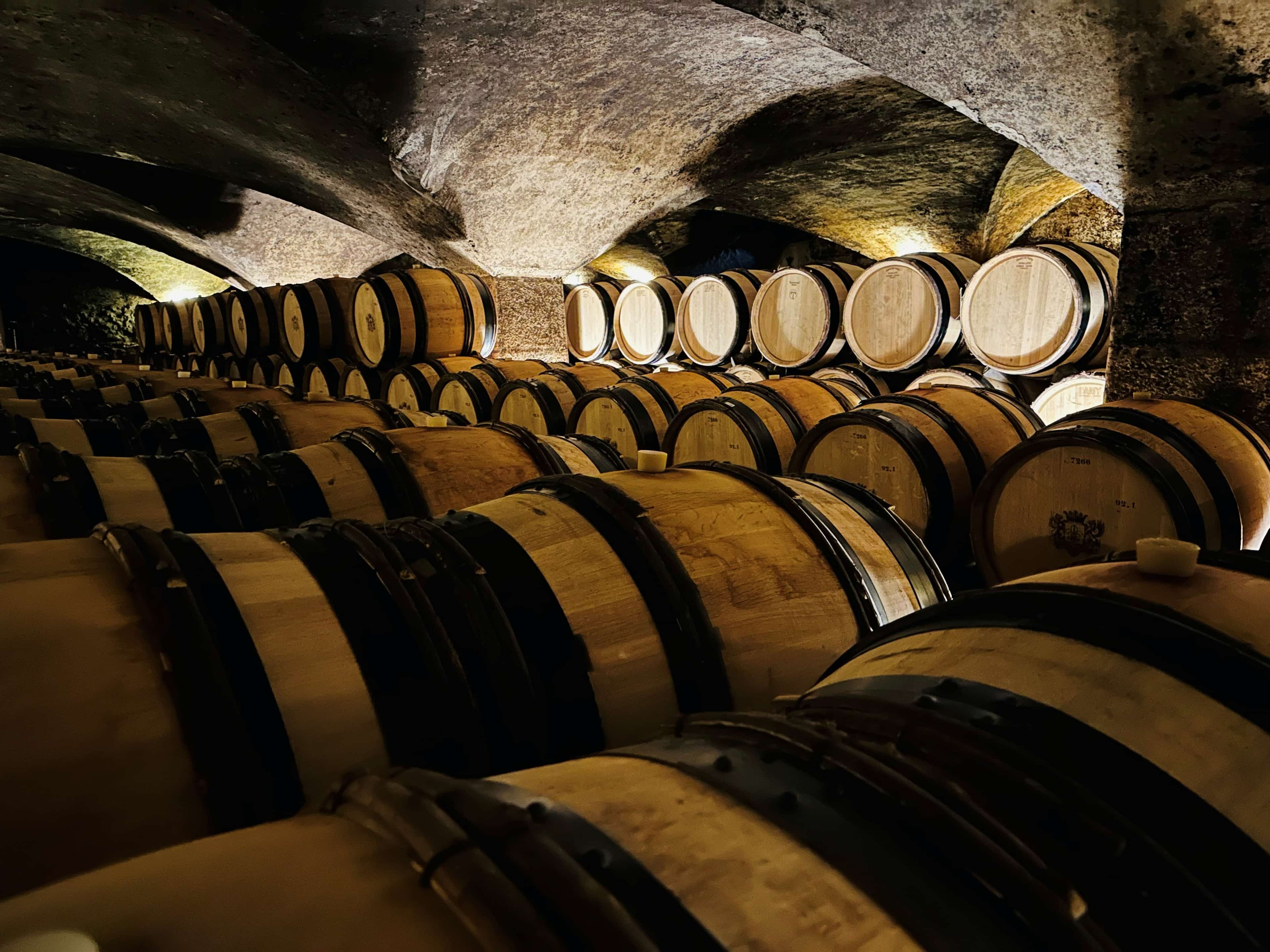 Wijnreis Bourgogne