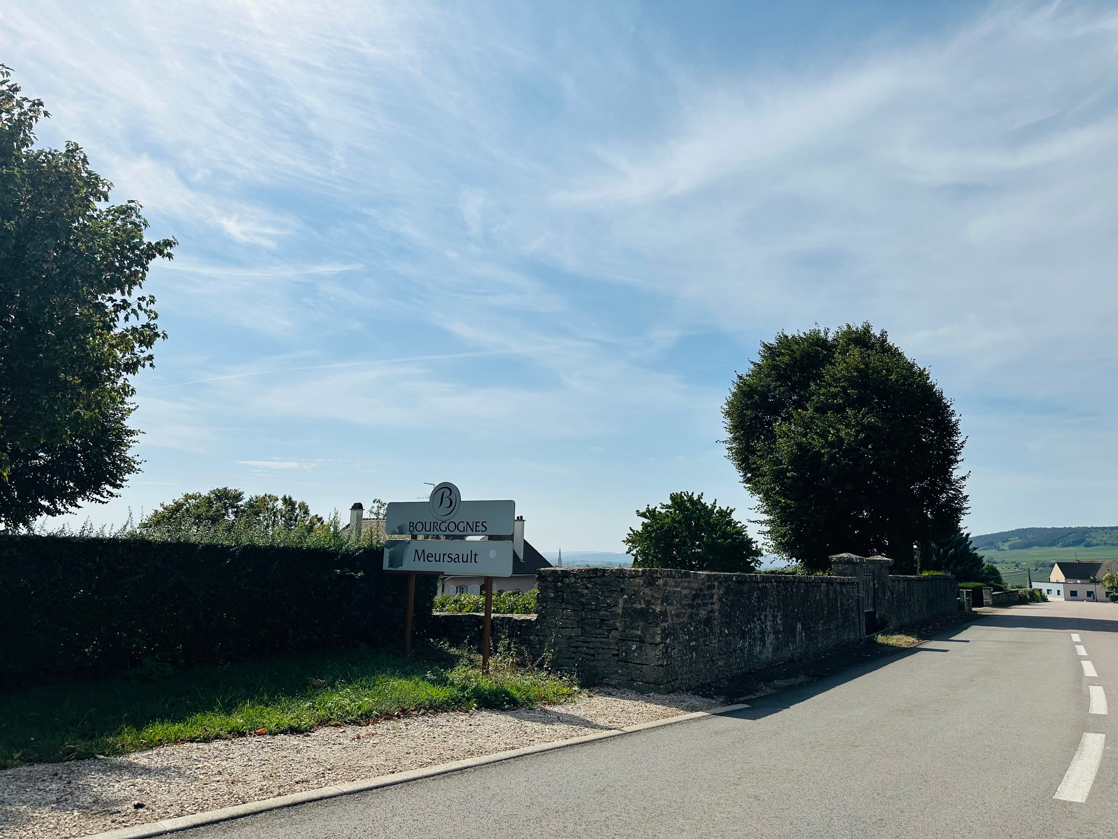 Bourgogne wijn uitgelegd: de verschillen tussen meerdere Meursault wijnen