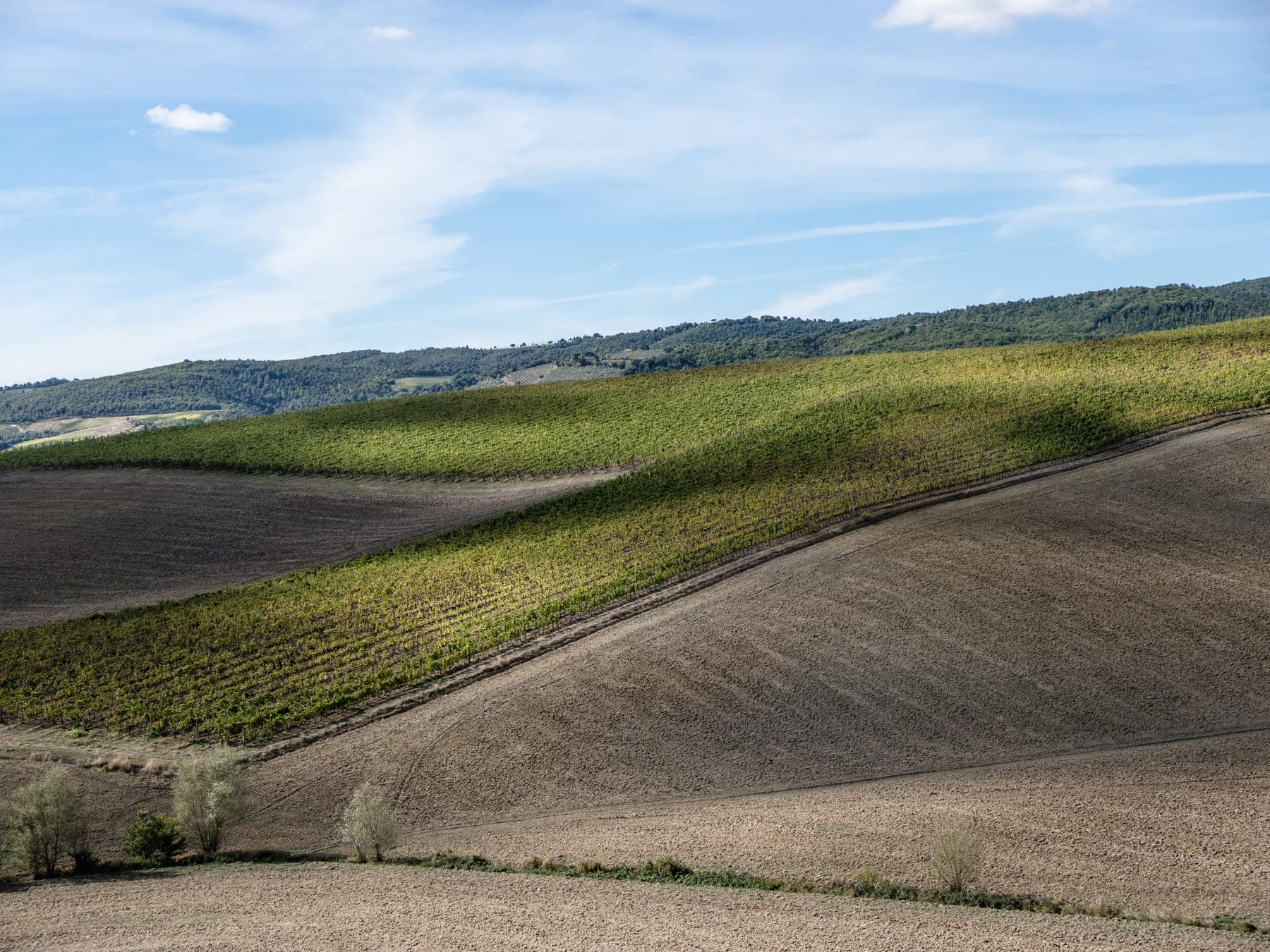 Col di Lamo