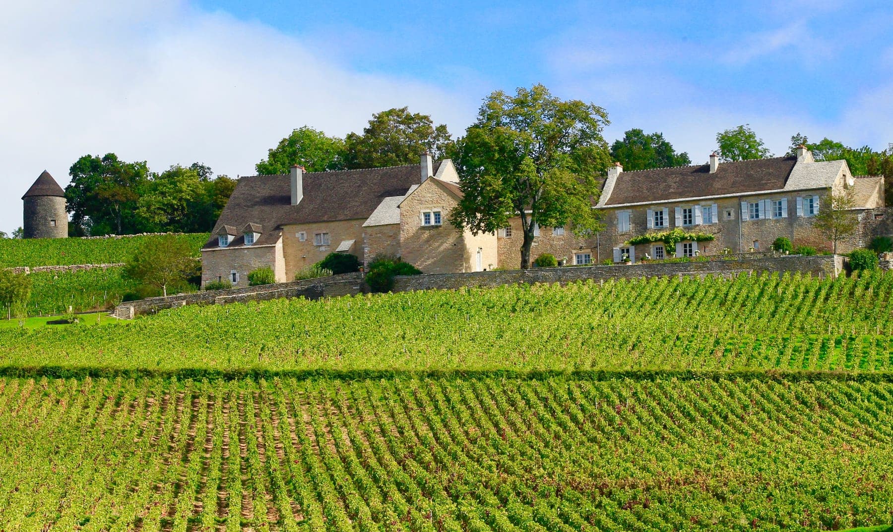 Domaine du Cellier aux Moines sfeerfoto 2