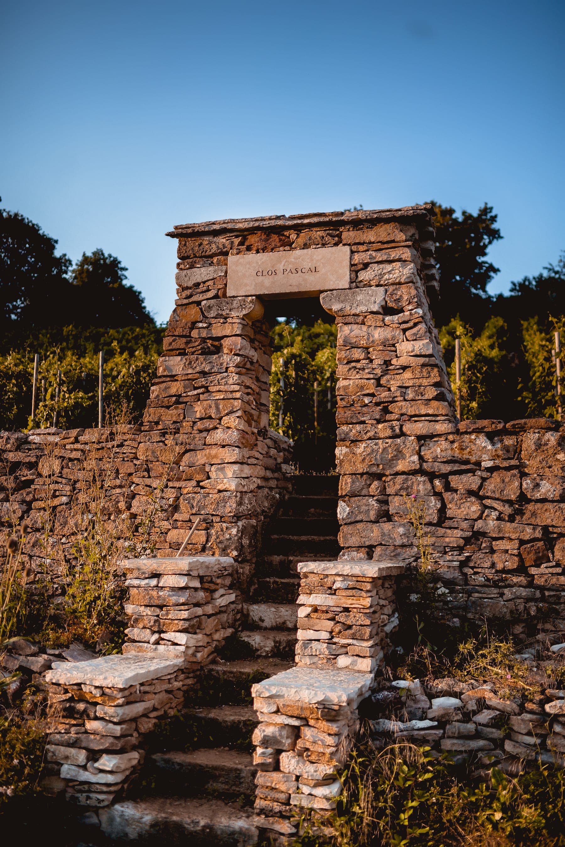 Domaine du Cellier aux Moines sfeerfoto 7