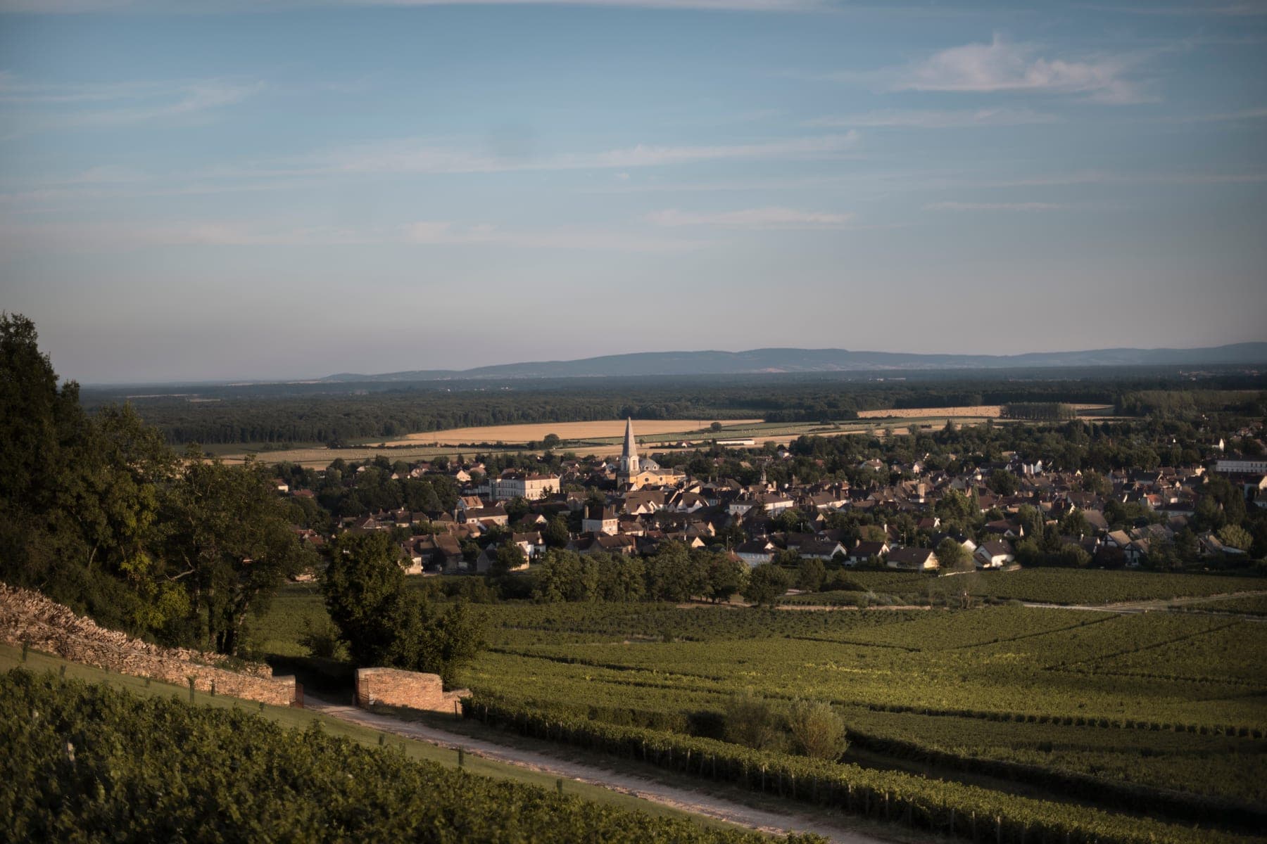 Domaine du Cellier aux Moines sfeerfoto 8