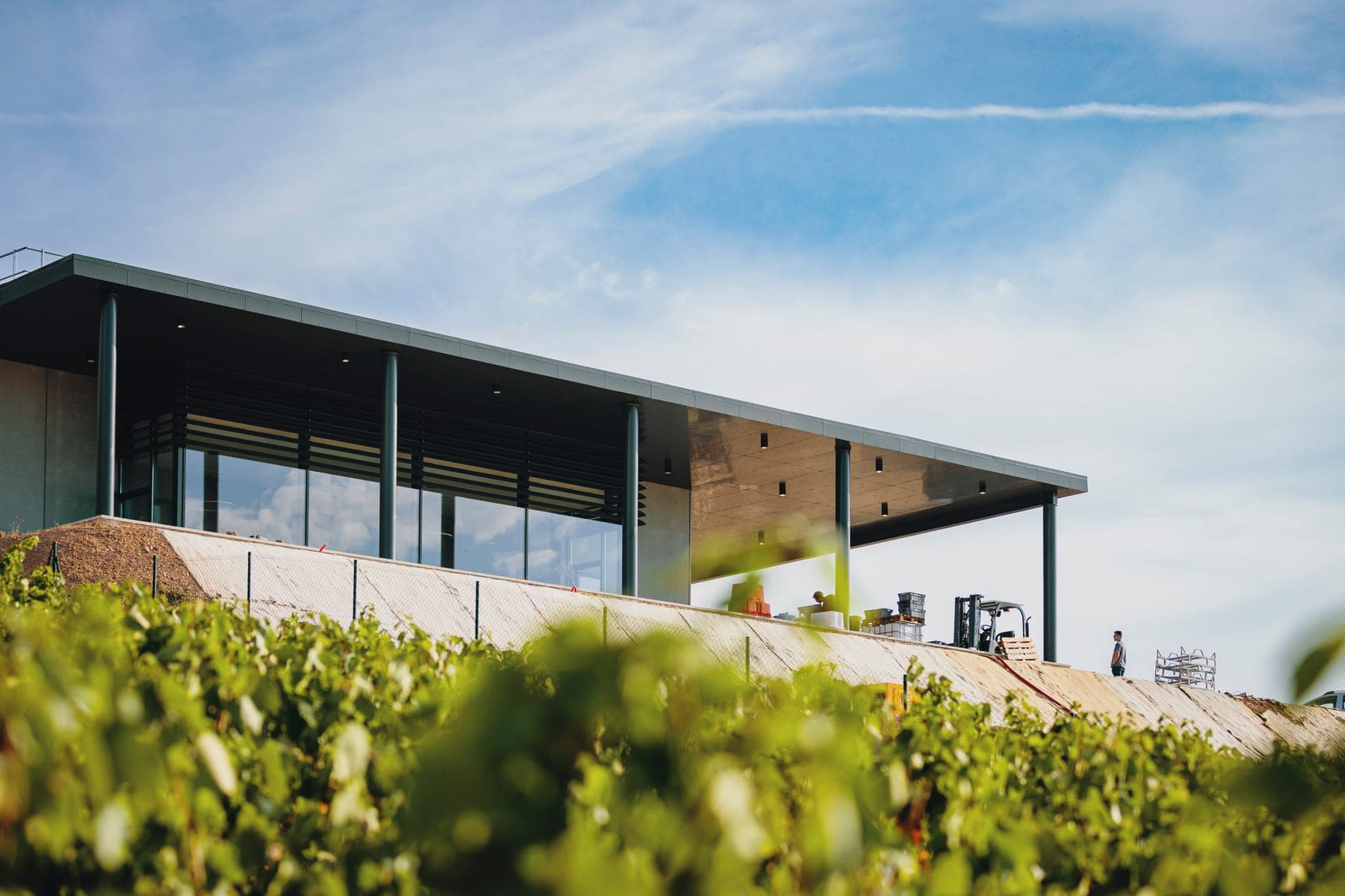 Domaine Mont Bessay