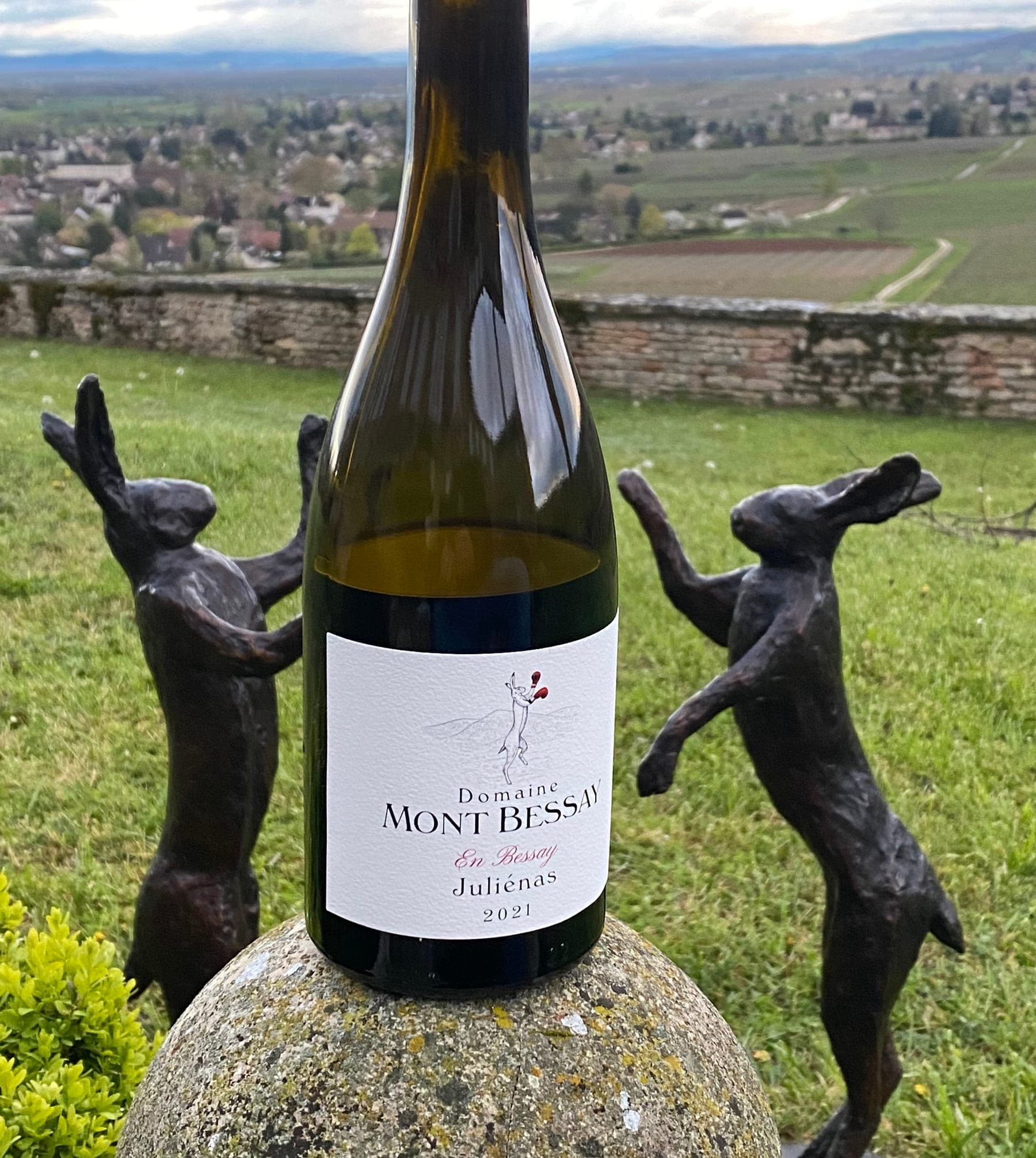 Domaine Mont Bessay sfeerfoto 7