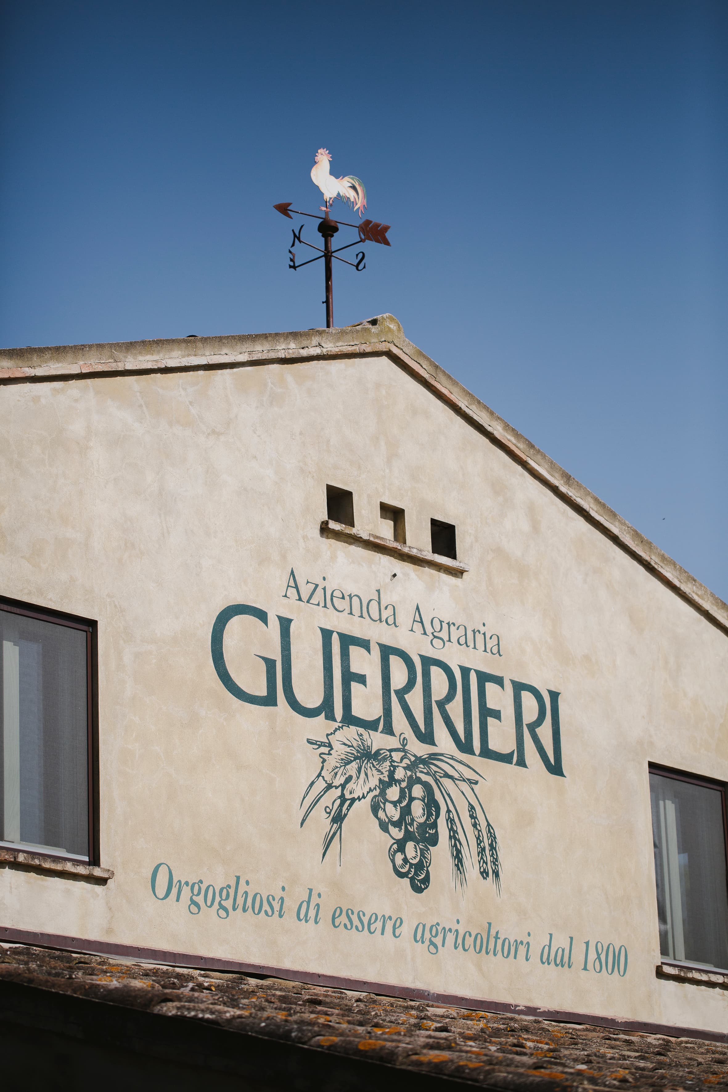 Azienda Agraria Guerrieri foto 5