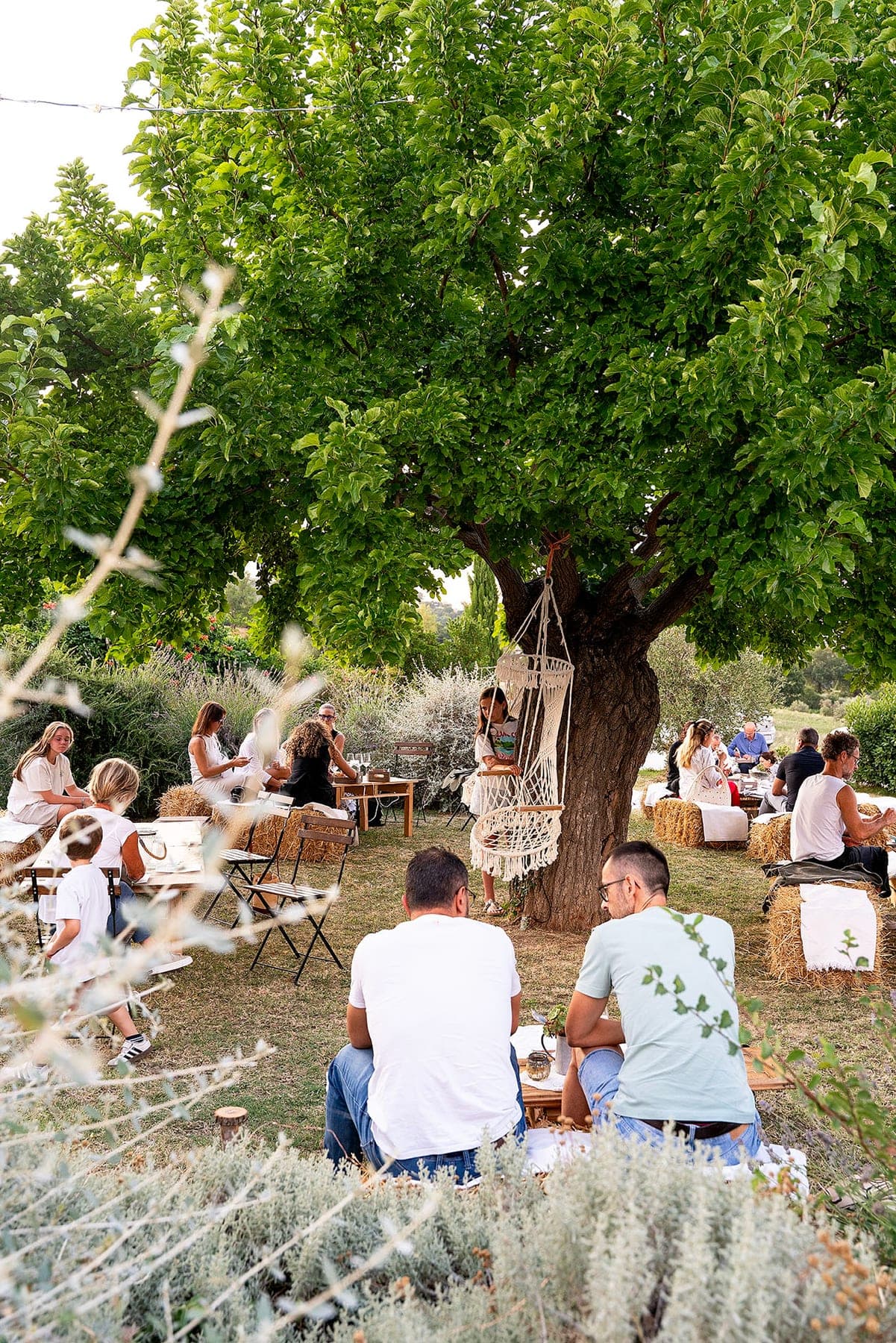 Cantina Terracruda sfeerfoto 4
