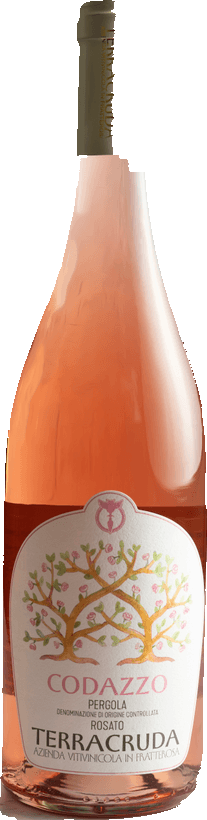Fles Codazzo Pergola DOC Rosato