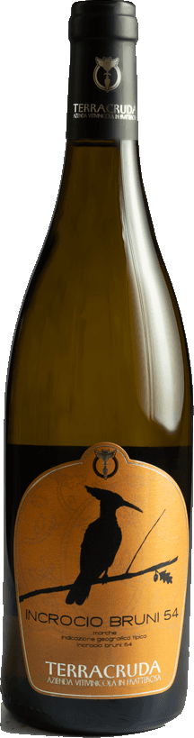 Fles Incrocio Bruni 54 Marche IGT