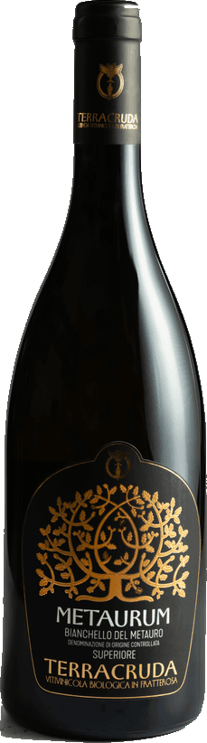 Fles Metaurum Bianchello del Metauro DOC Superiore van Cantina Terracruda