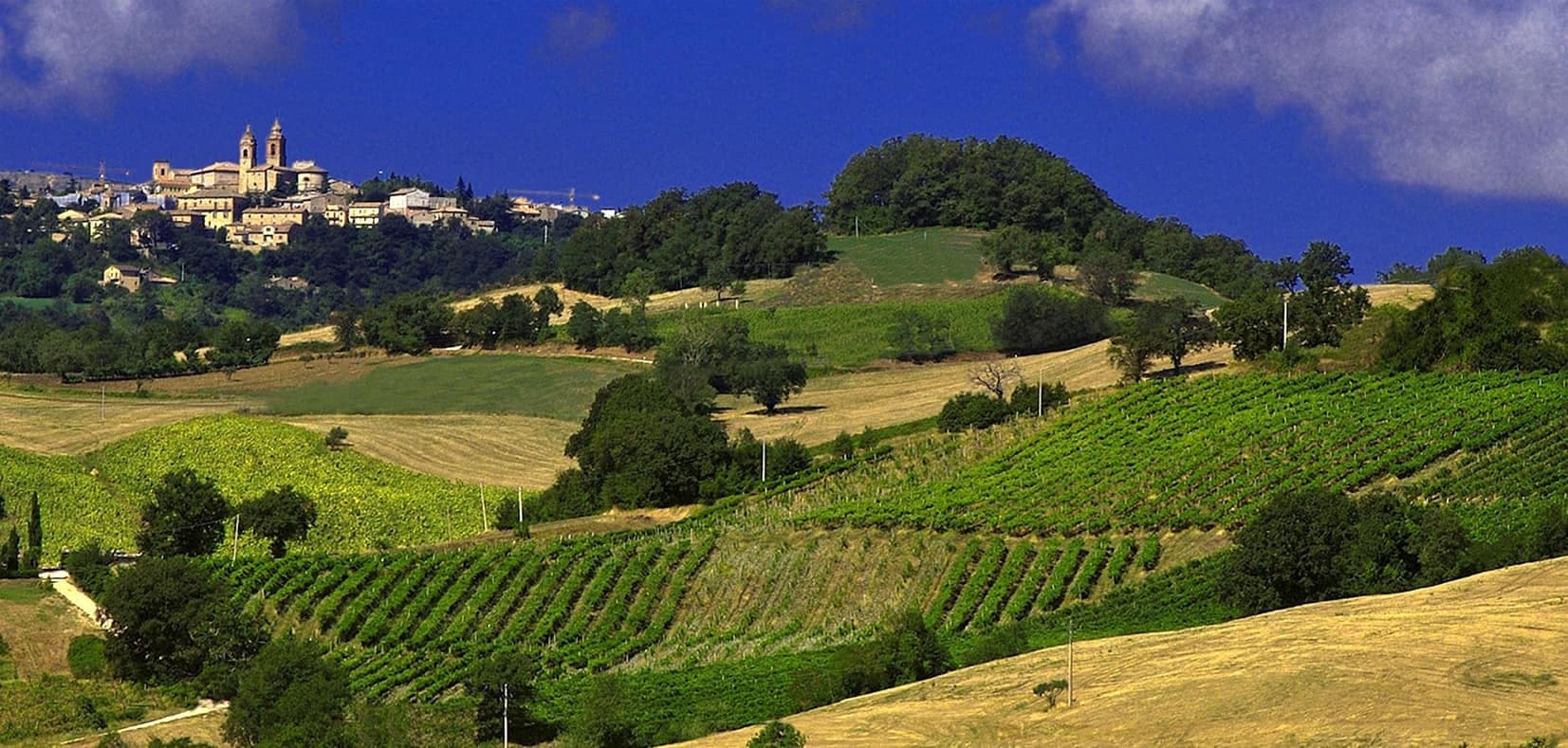 Terre di San Ginesio