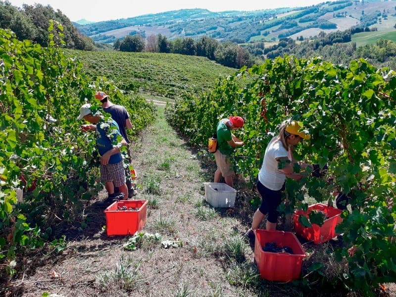 Terre di San Ginesio sfeerfoto 2