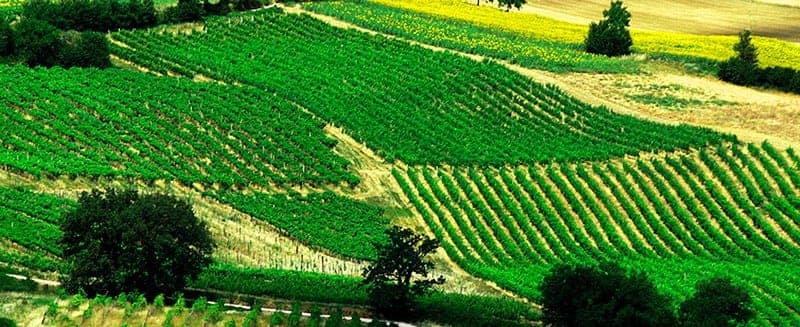 Terre di San Ginesio sfeerfoto 1