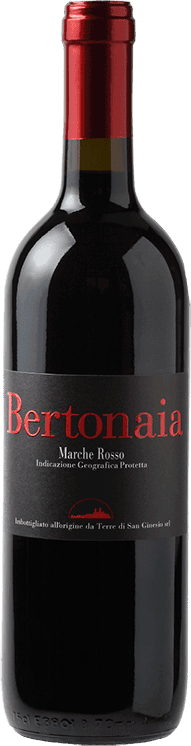 Fles Bertonaia van Terre di San Ginesio